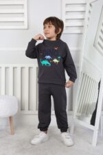 REGLAN KOLLU İKİ İP BEBE TAKIM 241424 - FÜME