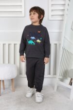 REGLAN KOLLU İKİ İP BEBE TAKIM 241424 - FÜME