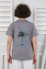 GARSON KOMPAK TSHIRT - FÜME